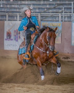 2015 West Coast Reining Horse Assoc. Year End Show