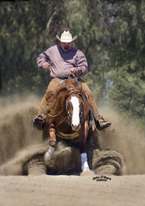 West Coast Reining Horse Assoc. Brookside. Star Spangled Slide July 3-6,2014